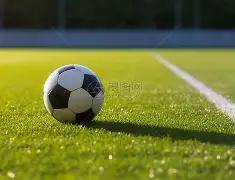 許利民力挺,外援,選擇外援毫,博鱼体育官网,博鱼体育app,博鱼体育APP下载