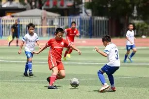 大乐透期号,专家质合分,前区十码,博鱼体育官网,博鱼体育app,博鱼体育APP下载